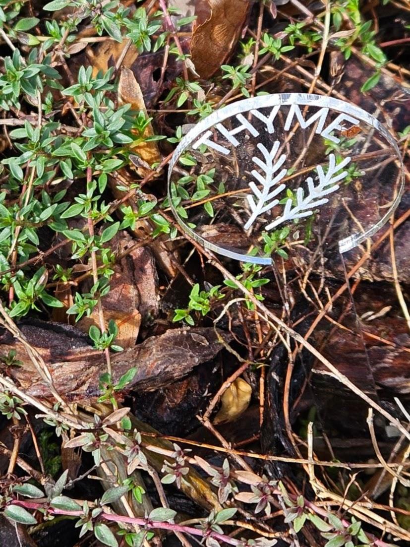 Clear Plastic Acrylic Marker reads Thyme in the middle of a garden with leaves and herbs