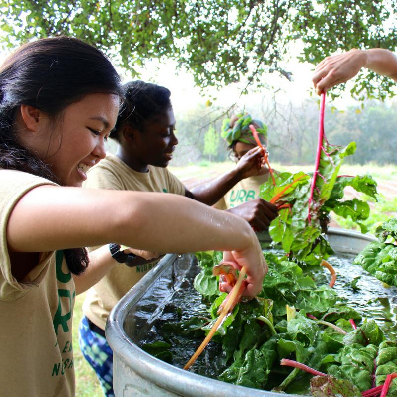 Teens in the garden.