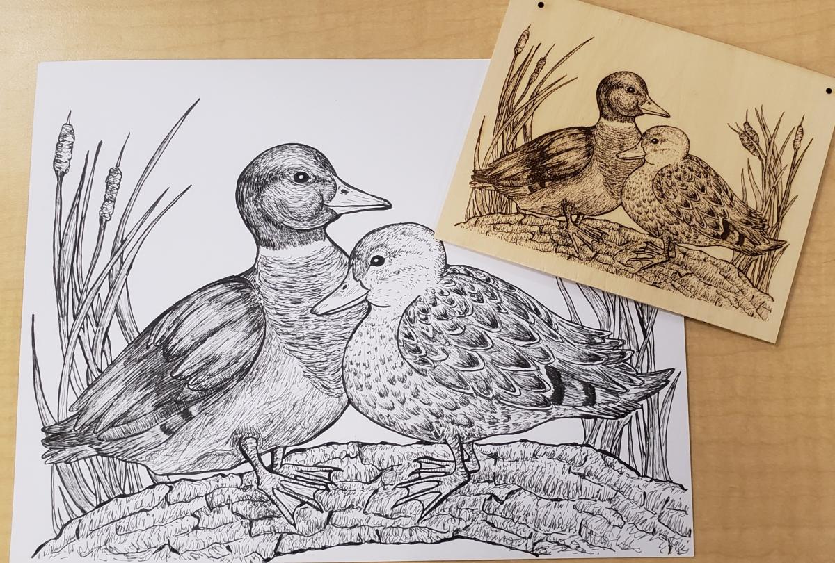 a pen drawing of ducks with a wood engraving of the same picture