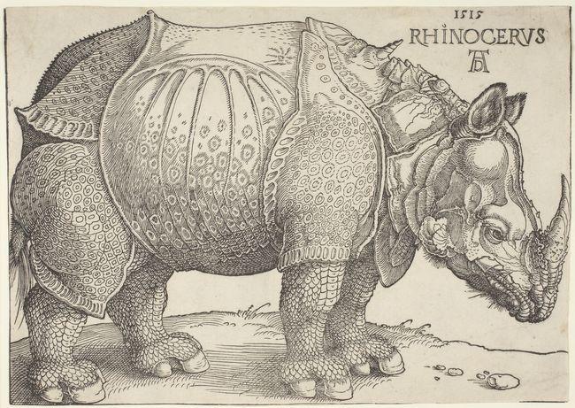 a pen and ink black and white print of a rhinocerus