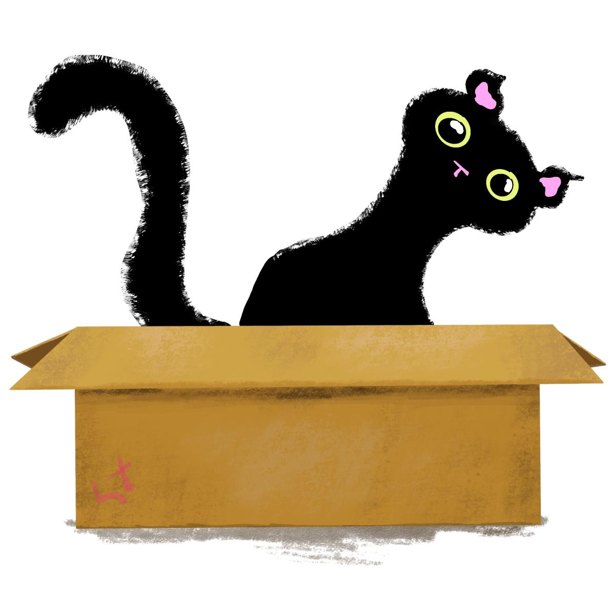 Created using Procreate.